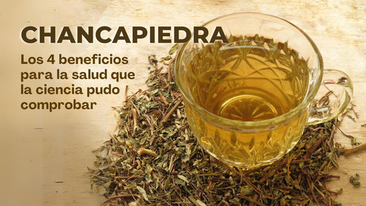 Chancapiedras, los 4 beneficios para la salud que la ciencia pudo comprobar
