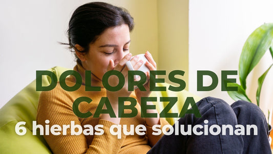 6 Infusiones de Hierbas que Combaten los Dolores de Cabeza según la Ciencia