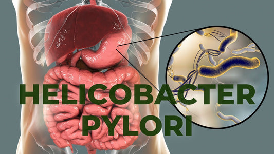 5 Señales de que Puedes Tener Helicobacter pylori