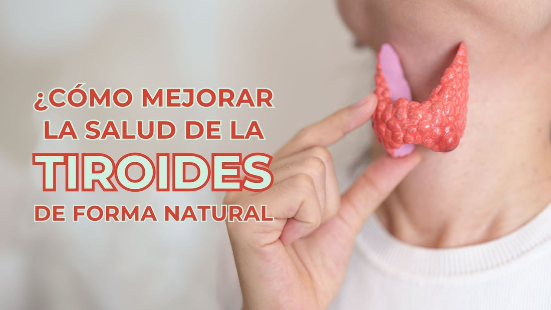 Cómo mejorar la salud de tu tiroides de forma natural