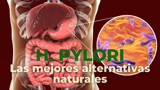 Alternativas naturales si tienes Helicobacter Pylori